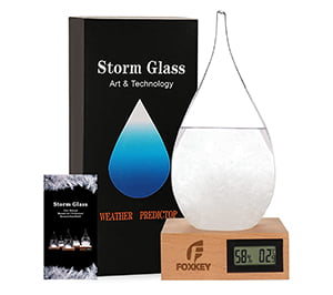 Storm-Glass-Wetterstation-Dekorativess-Indoor-Barometer-Glas-Wettervorhersage