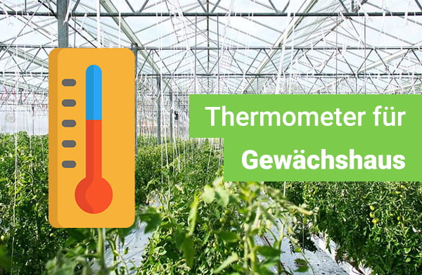 gewaechshaus-thermometer-test